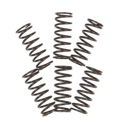 Arcuri ambreiaj - Racing Clutch Spring Set